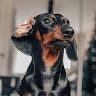Любовь Плоская