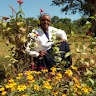 Ninsiima Roselyn