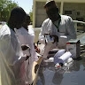 Ahmad Bulama Hassan