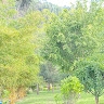 Niyodusenga Gady