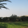 תמר ברוורמן
