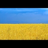 Дмитро Справедливий