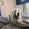 Murph  