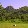 gilbert ojok