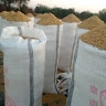 Damyoma Farms