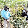 ambrose nuwagaba