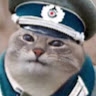 nette Katze