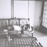 Toyoko Matsuo