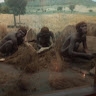 Joe Murage