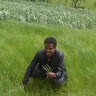Mehari Girmay