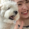jia han
