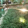 irungu san