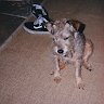 Keith Olivier Daly