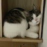 き〜 かっ