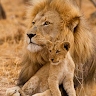 J.M. Muthomi