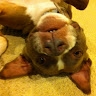 Odie Miller