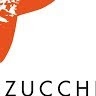 Contabilità Fondazione Zucchelli
