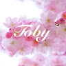 toby trebitsh