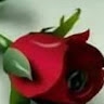 Bereket Wake