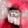 שירן לוי