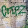 Cripzdnb  
