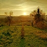 Tadej Ostrc