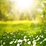 Hope Wellness
