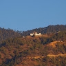 Tshering Dhendup