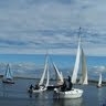 Trimaranas Žuvėdra