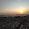 זאב שמעון גינדס