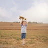 מירי שטארק