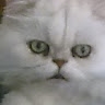 ΣΑΒΒΑΣ ΣΥΝΟΔΙΝΟΣ