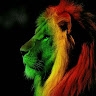 king david