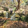 Bracha Haber