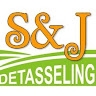 S&J Detasseling