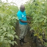 Muhangi John