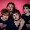 The Velvet Hands