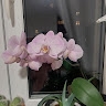 Riina Lahe