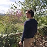 Filippo Passerini
