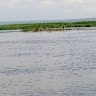 okello bonny