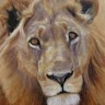 OTIENO KENN