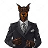 Mr. Doberman  