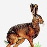 Abdou-Wakilou BIO KERI