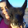 Pam Balentyne