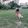 Andrea  