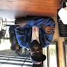 TREVOR ALUJO