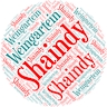 Sheindy Lebovits