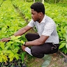 Kulah Peter