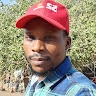 Noah zulu