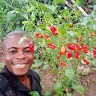 otimpong elorm